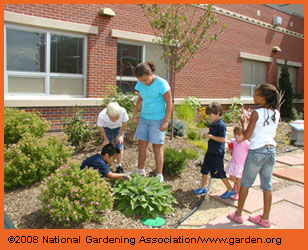 Students in schoolyard garden