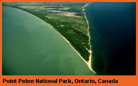 Point Pelee National Park, Ontario, Canada